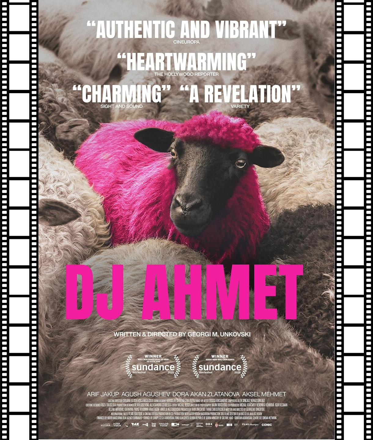 DJ Ahmet (PG) Poster Image