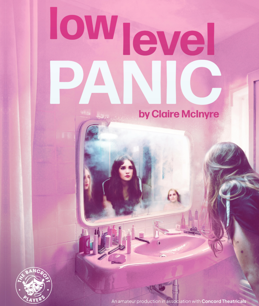 Low Level Panic Poster Image