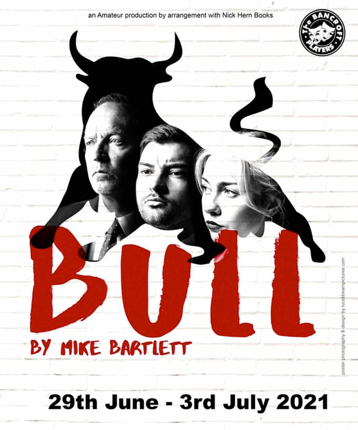 Bull Poster Image
