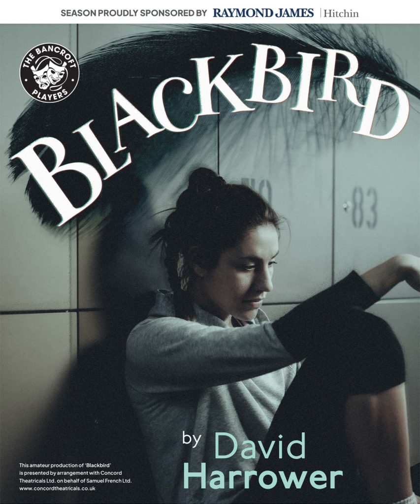 Blackbird Poster Image