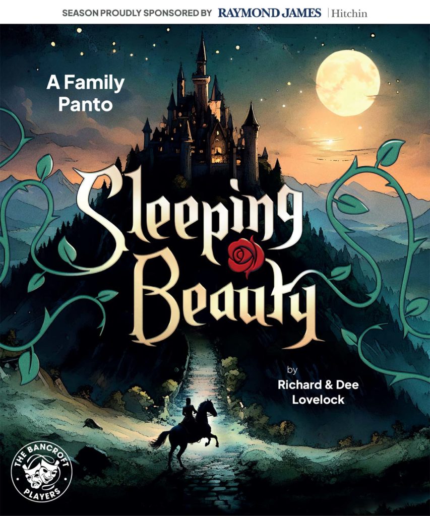 Sleeping Beauty Poster Image